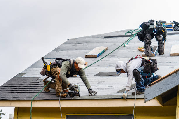 Professional Roofing technician working in Greenbush, MA